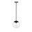 Millennium Lighting Avell 1Lt Pendant, Black