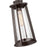 Millennium Lighting Bolling 1Lt Outdoor Pendant, Coated Bronze