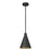 Millennium Lighting Axston 1Lt 12" Outdoor Hanging Lantern, Black - 86103-TBK