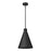 Millennium Lighting Axston 1Lt 18" Outdoor Hanging Lantern, Black - 86104-TBK