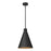Millennium Lighting Axston 1Lt 18" Outdoor Hanging Lantern, Black