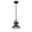 Millennium Lighting 1 Light 44" Mini-Pendant