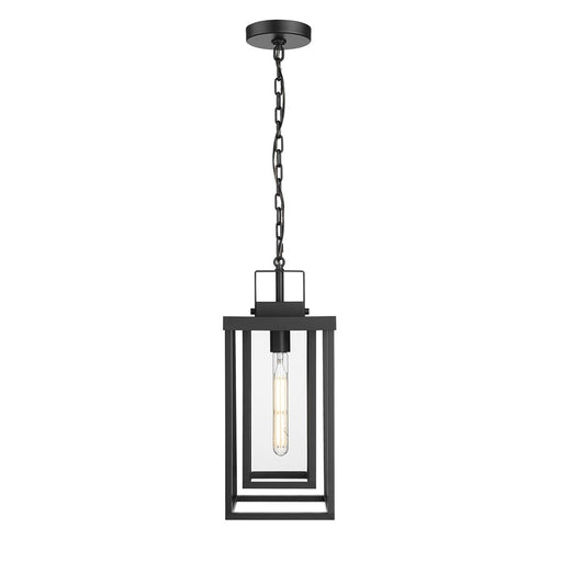 Millennium McDonough 8" 1Lt Outdoor Hanging Lantern, Black/Clear