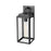 Millennium Alpharetta 15.5" High 1Lt Outdoor Wall Lantern, Black - 902001-PBK