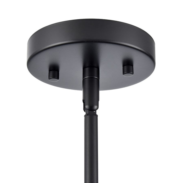 Millennium Lighting Elise 4Lt 24" Pendant, Black/Black