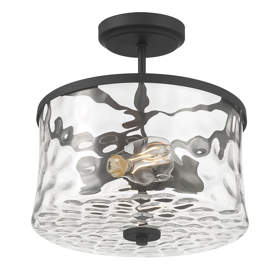 Millennium Clarvyn 2Lt Ceiling Fixture, Black/Clear Stone Water - 909201-MB