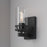 Millennium Lighting Lunden 1Lt Wall Sconce, Matte Black/Clear