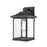 Millennium Southgate 1Lt 14" Outdoor Wall Sconce, Black/Clear
