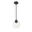 Millennium Lighting 1 Light Mini-Pendant, Matte Black/Clear