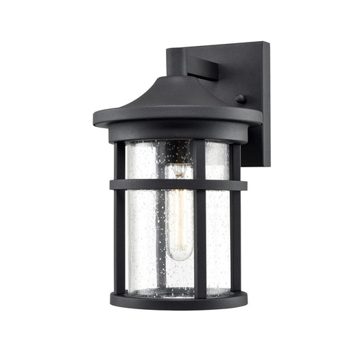 Millennium Lighting Namath 1Lt 11" Outdoor Wall Sconce, Black/Clear