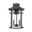 Millennium Lighting Namath 2Lt Outdoor Wall Sconce, Black/Clear - 91322-TBK