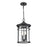 Millennium Lighting Namath 2Lt Outdoor Hanging Lantern, Black/Clear