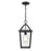 Millennium Lighting Eston 1Lt Outdoor Hanging Lantern, Black/Clear - 91401-TBK