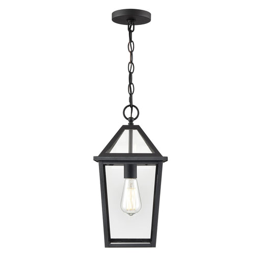Millennium Lighting Eston 1Lt Outdoor Hanging Lantern, Black/Clear - 91401-TBK