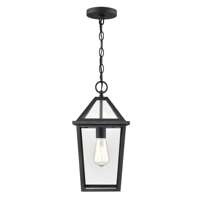 Millennium Lighting Eston 1Lt Outdoor Hanging Lantern, Black/Clear - 91401-TBK