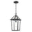 Millennium Lighting Eston 1Lt Outdoor Hanging Lantern, Black/Clear