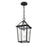 Millennium Lighting Eston 1Lt Outdoor Hanging Lantern, Black/Clear