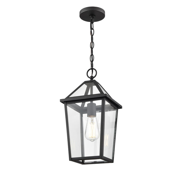 Millennium Lighting Eston 1Lt Outdoor Hanging Lantern, Black/Clear