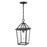 Millennium Lighting Eston 1Lt Outdoor Hanging Lantern, Black/Clear