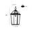 Millennium Lighting Eston 1Lt Outdoor Hanging Lantern, Black/Clear
