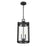 Millennium Lighting Ellway 2Lt Outdoor Hanging Lantern, Black/Clear