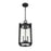 Millennium Lighting Ellway 2Lt Outdoor Hanging Lantern, Black/Clear