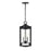 Millennium Lighting Ellway 2Lt Outdoor Hanging Lantern, Black/Clear