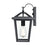 Millennium Lighting Mensun 1Lt Outdoor Wall Sconce, Black/Clear