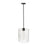 Millennium Lighting Ashli 1Lt Pendant, Black/Clear