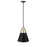 Millennium Lighting Annos 1Lt Pendant, Black/Modern Gold