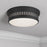 Millennium Lighting Velune 2 Light Flush Mount, Matte Black