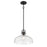 Millennium Lighting Clarien 1 Light Pendant, Matte Black/Clear - 98101-MB