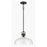 Millennium Lighting Clarien 1 Light Pendant, Matte Black/Clear