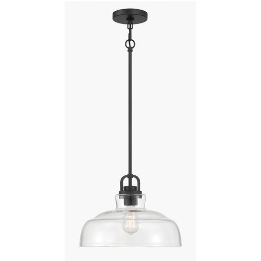 Millennium Lighting Clarien 1 Light Pendant, Matte Black/Clear