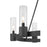 Millennium Lighting Evandrel 6Lt Chandelier, Matte Black/Clear