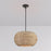 Millennium Lighting Bemo 1Lt Pendant, Oiled Bronze