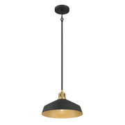 Millennium Lighting Axlen 1 Light Pendant, Matte Black - 9941-MB-VB
