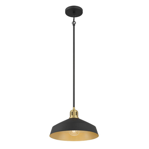 Millennium Lighting Axlen 1 Light Pendant, Matte Black - 9941-MB-VB