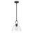 Millennium Lighting Velto 1 Light Pendant, Matte Black/Clear