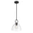 Millennium Lighting Velto 1 Light Pendant, Matte Black/Clear