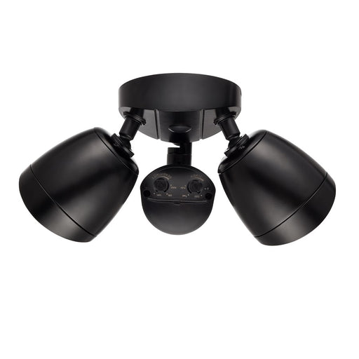 Millennium Lighting 11" Security Flood Light, Black/Clear - M-18002-PBK