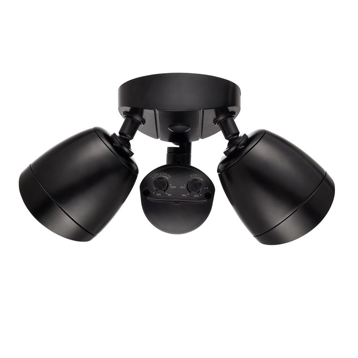 Millennium Lighting 11" Security Flood Light, Black/Clear - M-18002-PBK