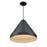 Millennium Lighting R Series 1Lt 17" Cord Hung Cone, Satin Black