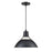 Millennium Lighting R Series 1Lt Cord Hung Glass Cone, Satin Black