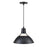 Millennium Lighting R Series 1Lt Cord Hung Glass Cone, Satin Black