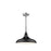 Millennium Lighting R Series 1 Light Warehouse"Shade Only", Black, 9.25