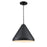 Millennium R Series 1Lt 17" Cord Hung Wide Cone, Satin Black - RWCC17-SB