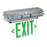 RP Lighting 1Lt Edge Lt Exit - Recess Mount Single Face, Alum/Clr - RXL33GBA