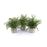 Melrose Int. Potted Fern Plant, Grey Pot, Set of 3, Green/Green - 38465DS