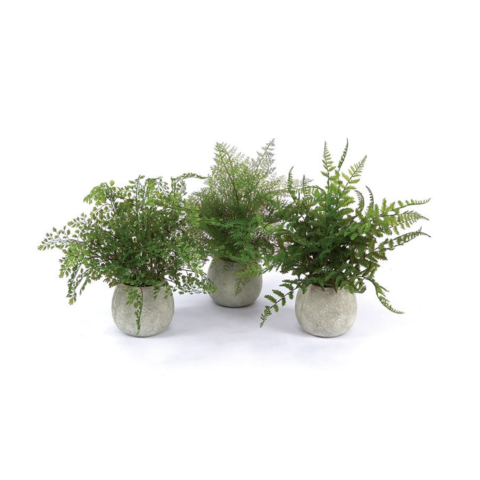 Melrose Int. Potted Fern Plant, Grey Pot, Set of 3, Green/Green - 38465DS